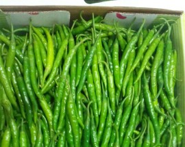 Chilli